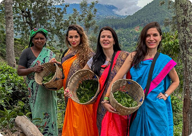 Royal Journey – 7 Days of Elegance