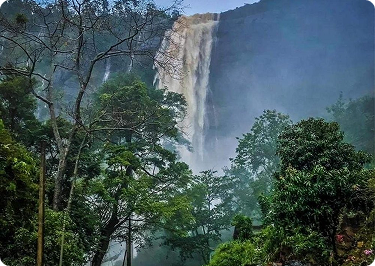 Smart Travel Sri Lanka – 07 Days Tour