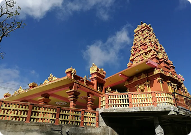 Smart & Traditions – Indians Only